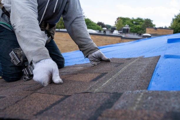 Best Metal Roofing Contractor  in Walton Hills, OH